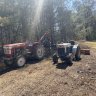 TNhomesteader