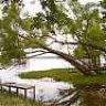Lakehouse