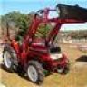 wildcat455