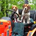 www.tractorbynet.com