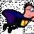 ceh007