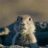 TexasGopher