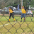 Jeffjohnson11